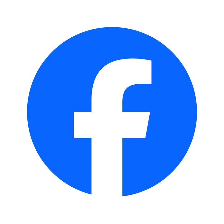 Logo Facebook couleur pour Template Boutique Cie