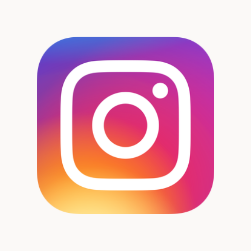 Logo Instagram pour Template Boutique Cie